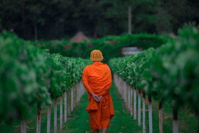 Rear view of person walking on field