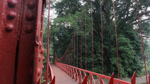 Footbridge amidst trees in forest