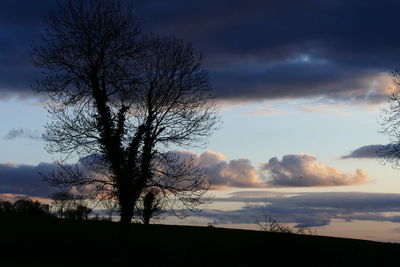 Silhouette of trees against cloudy sky