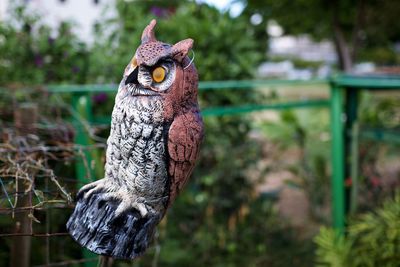 Close-up of owl wooden sculpture