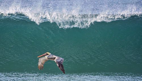 Waves splashing in sea