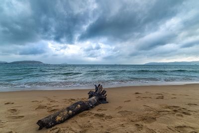 Scenic view of beach against sky