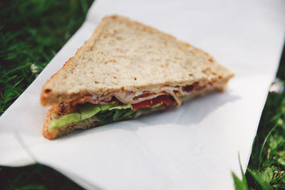 High angle view of sandwich on tissue over grassy field