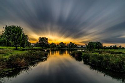 Scenic view of trees against sky at sunset