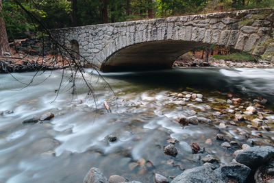 View of bridge over river in forest