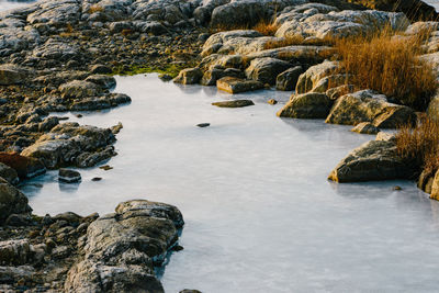 High angle view of rocks by lakeshore