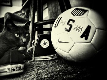 Close-up portrait of a cat