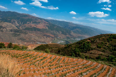 Scenic view of landscape against sky