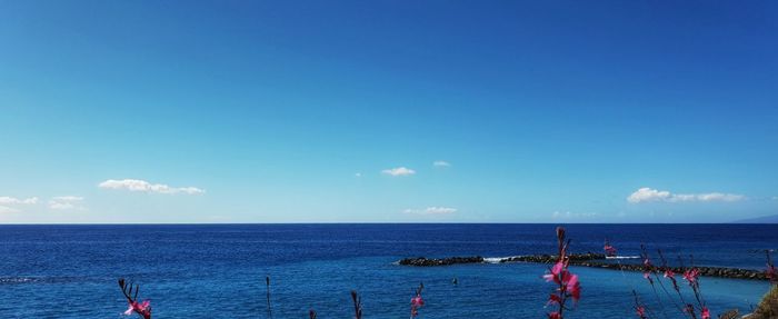 Scenic view of sea against blue sky