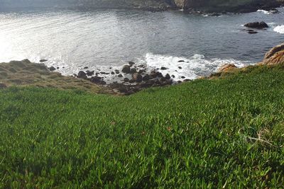 High angle view of sea shore