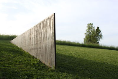 Trees on grassy field