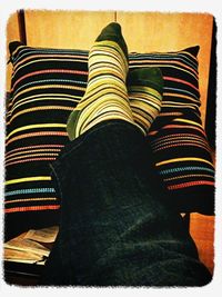 human leg