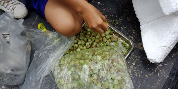 High angle view of person preparing food at market stall