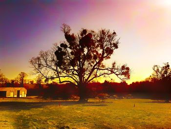 Silhouette trees on landscape against sky at sunset