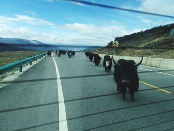 Zebra crossing on road against sky