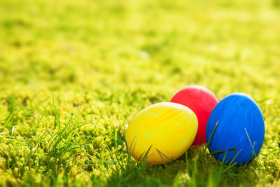 Close-up of multi colored ball on grassy field