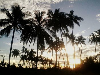 Silhouette palm trees against sky during sunset