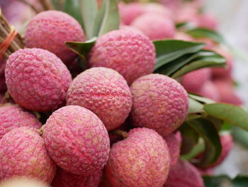 Close-up of strawberries