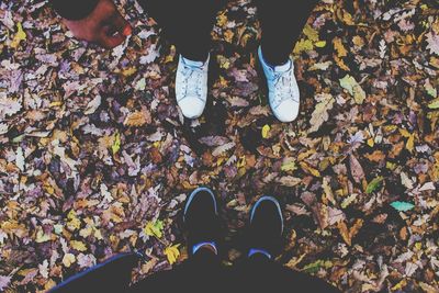 Low section of friends standing on leaves