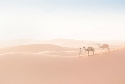 People riding on sand dune in desert against sky