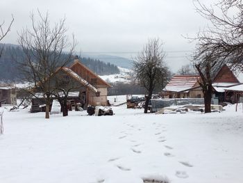 Houses on snow covered landscape