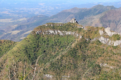 High angle view of trees on landscape