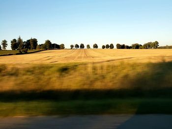 Scenic view of field against clear sky