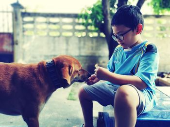 Boy playing with dog while sitting on floor