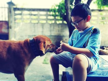 Rear view of boy with dog sitting on floor