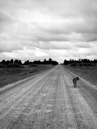 Man riding motorcycle on road against sky