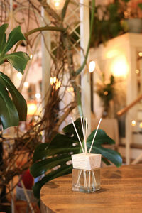 Close-up of sticks in glass bottle on table