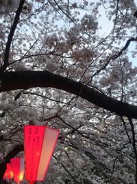 Low angle view of trees