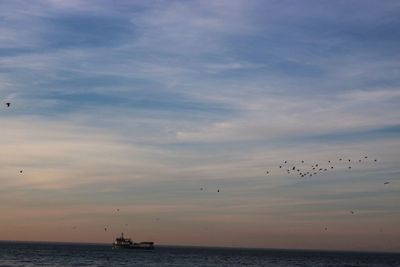 Birds flying over sea against sky