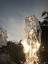 Low angle view of trees against sky