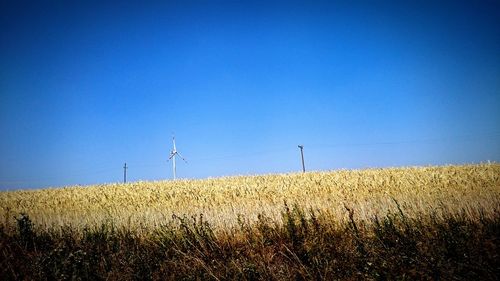 Scenic view of field against clear blue sky