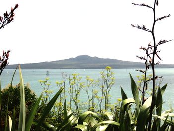 Scenic view of sea and mountains against clear sky