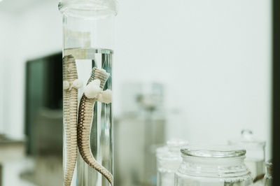 Close-up of glass jar on table