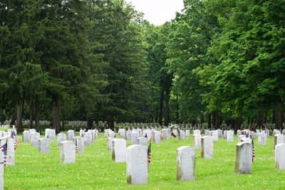 View of cemetery