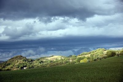 Scenic view of field against sky