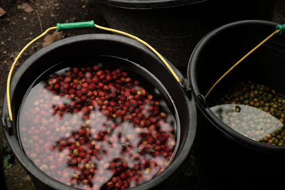 High angle view of food