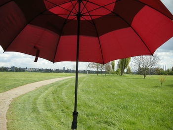 Umbrella on grassy field