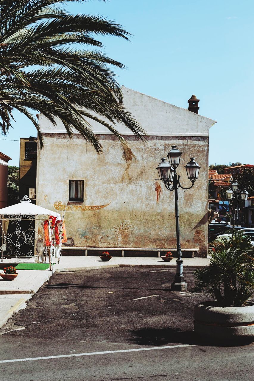 PALM TREES AGAINST BUILDING