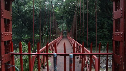 Wooden bridge in forest