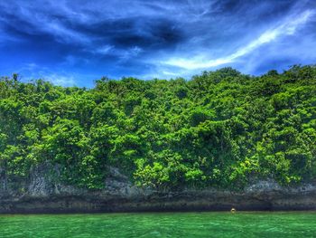 Scenic view of trees by sea against sky