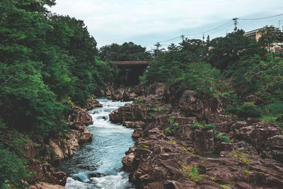 Bridge over river amidst trees against sky