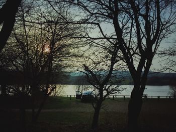Silhouette trees against sky during sunset