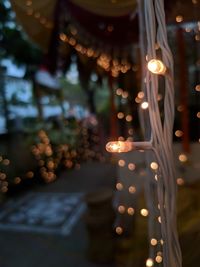 Close-up of illuminated christmas lights