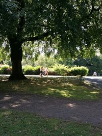 People on road amidst trees