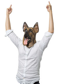 Low angle view of dog standing against white background