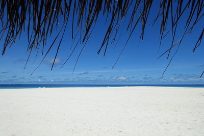 Scenic view of beach against blue sky